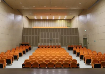 Estudios de vulnerabilidad sísmica, reforzamiento estructural y patología estructural.