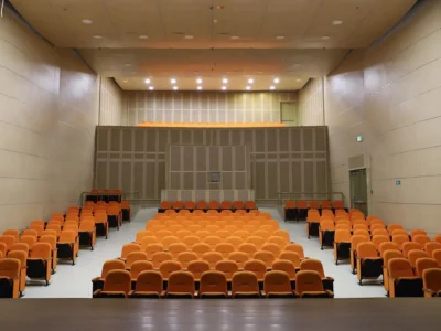 Estudios de vulnerabilidad sísmica, reforzamiento estructural y patología estructural.